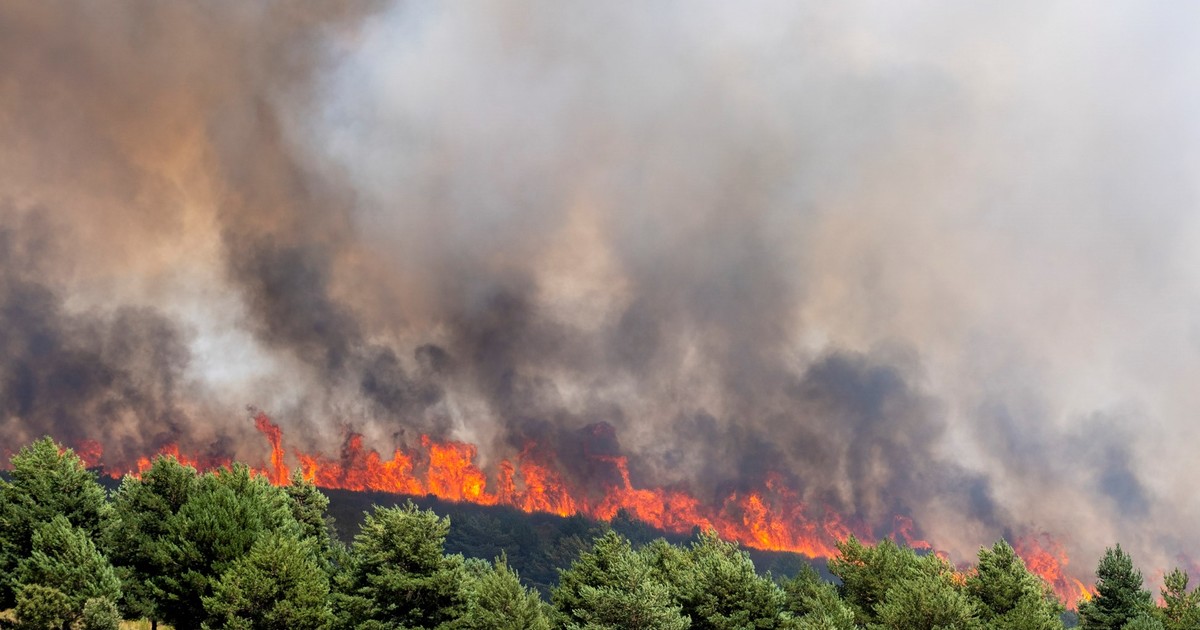 Incendio forestal descontrolado arrasa miles de hectáreas a 100 km de Madrid