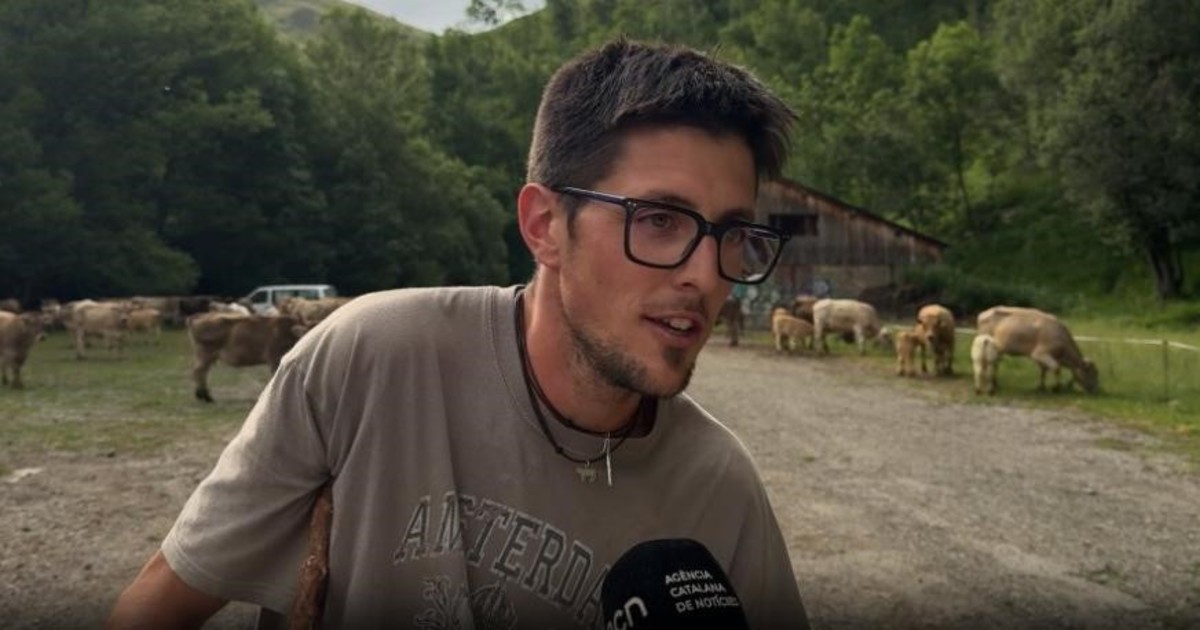 Albert Baqueró, el vaquero de los Pirineos que cuida 2.000 cabezas de ganado: 'Mi tarea es vigilar su salud y evitar problemas'