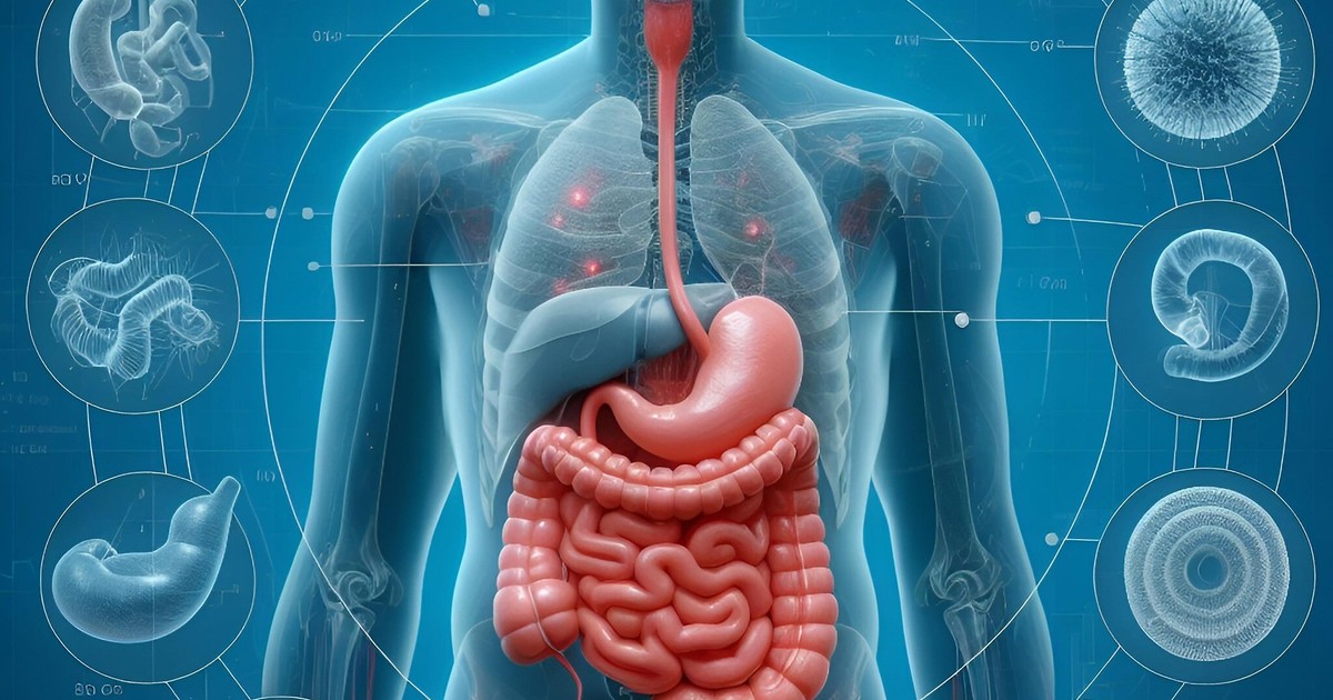 El intestino también le habla al cerebro: cómo influye en emociones y memoria