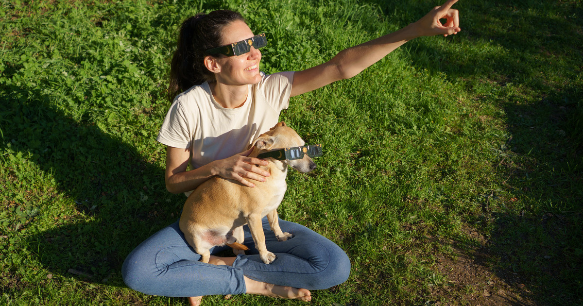 Eclipse solar y mascotas: cómo evitar que tu perro sufra ansiedad