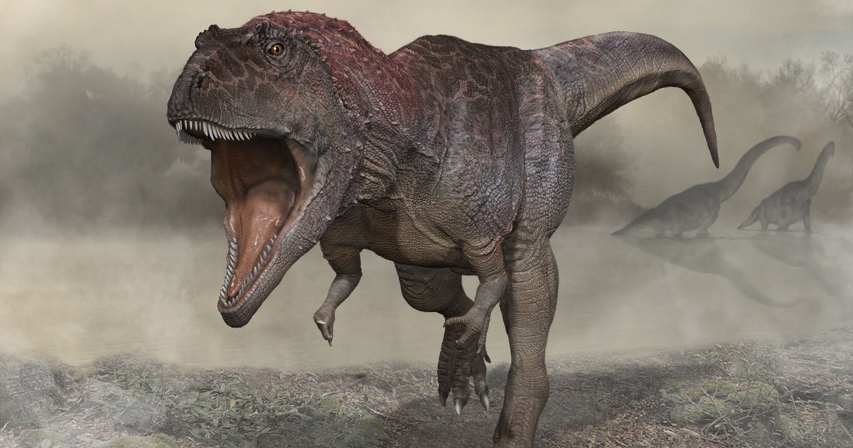 Bebés T-Rex: más chicos que un gato y en camadas de hasta 30