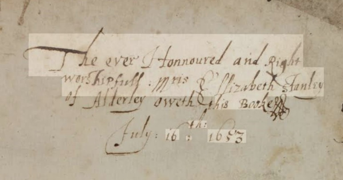 Un enigma de 373 años resuelto por IA en solo 44 minutos