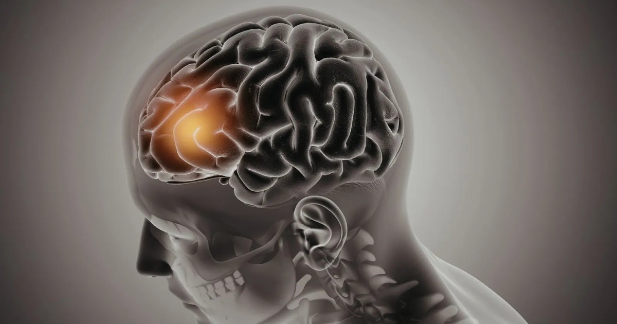 ¿Podremos recuperar recuerdos de los muertos? La ciencia avanza en una idea que parecía ficción