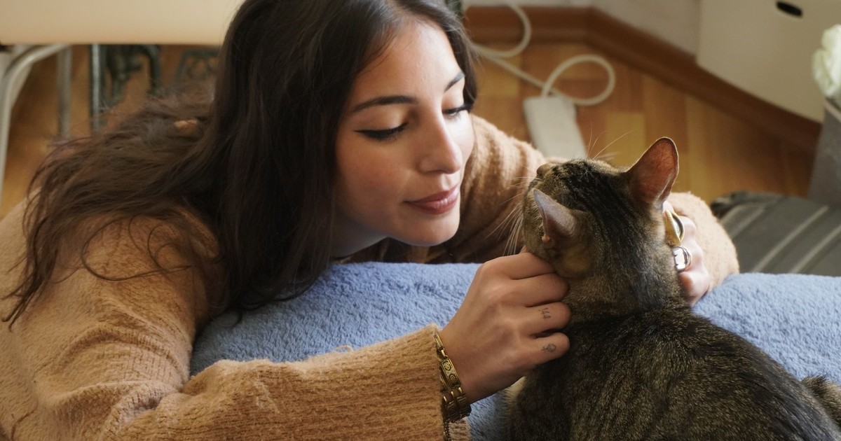 “En Tacoronte hay 1.000 gatos en 111 colonias”: la lucha de una rescatista por visibilizar a los felinos abandonados