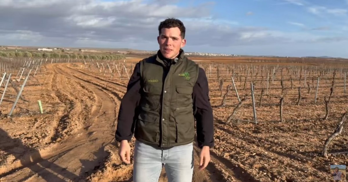 Agricultor español: “Gano 70 euros al día, pero no hay jóvenes que quieran trabajar”