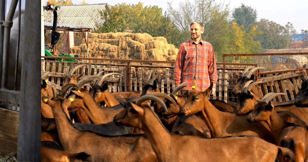 Despedido a los 42: volvió a la granja de su abuelo y hoy tiene 110 cabras