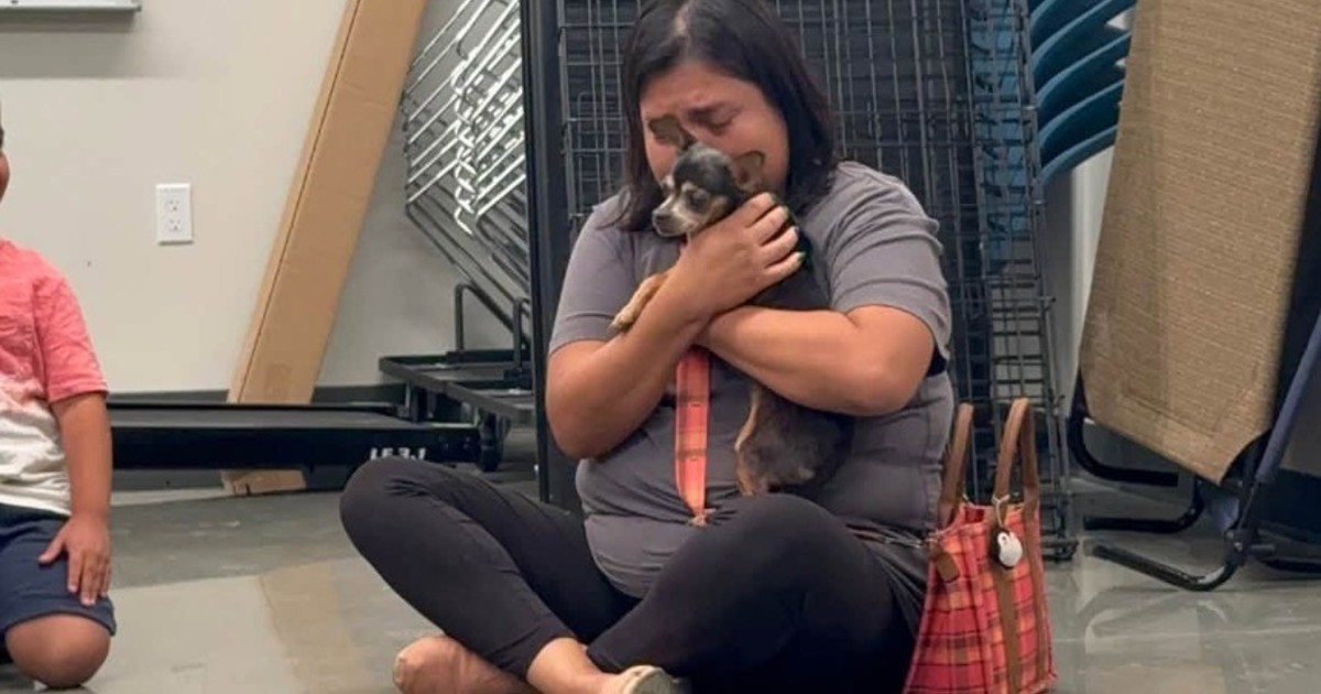 Reencuentro milagroso: un microchip reunió a una mujer con su perra tras 12 años