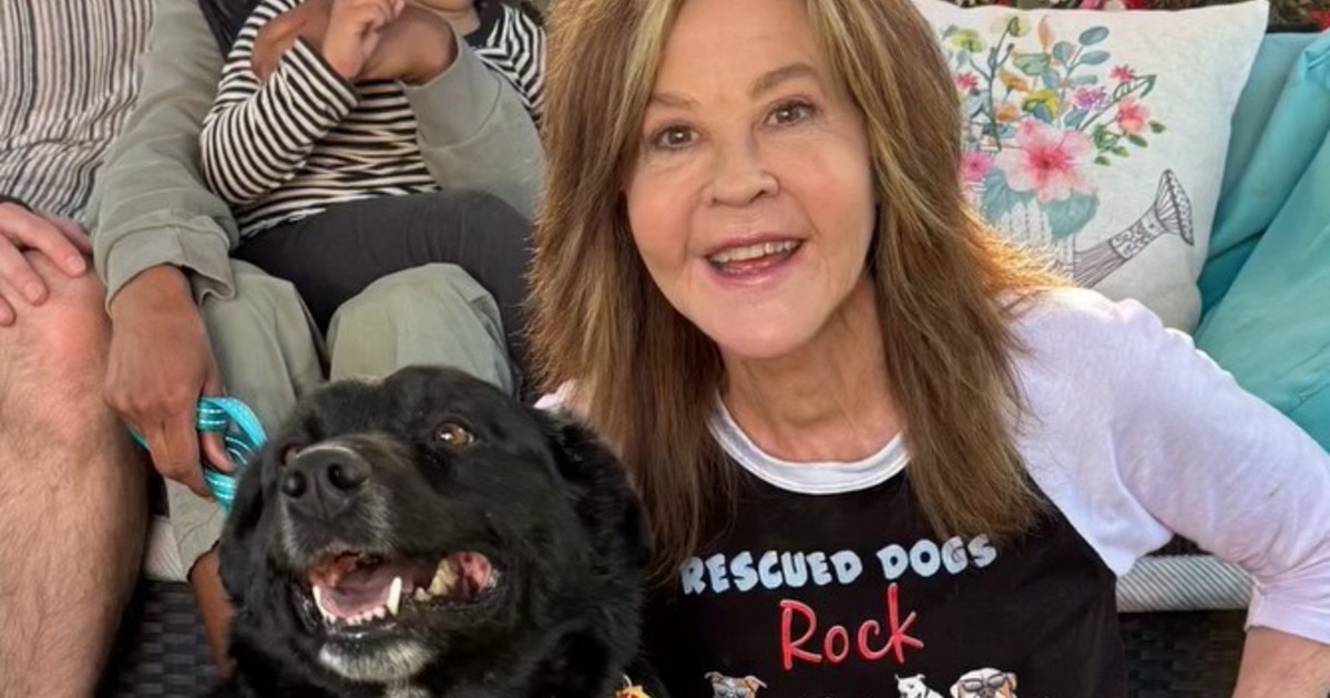 Linda Blair, de 'El Exorcista', en la mira por criar perros sin permiso