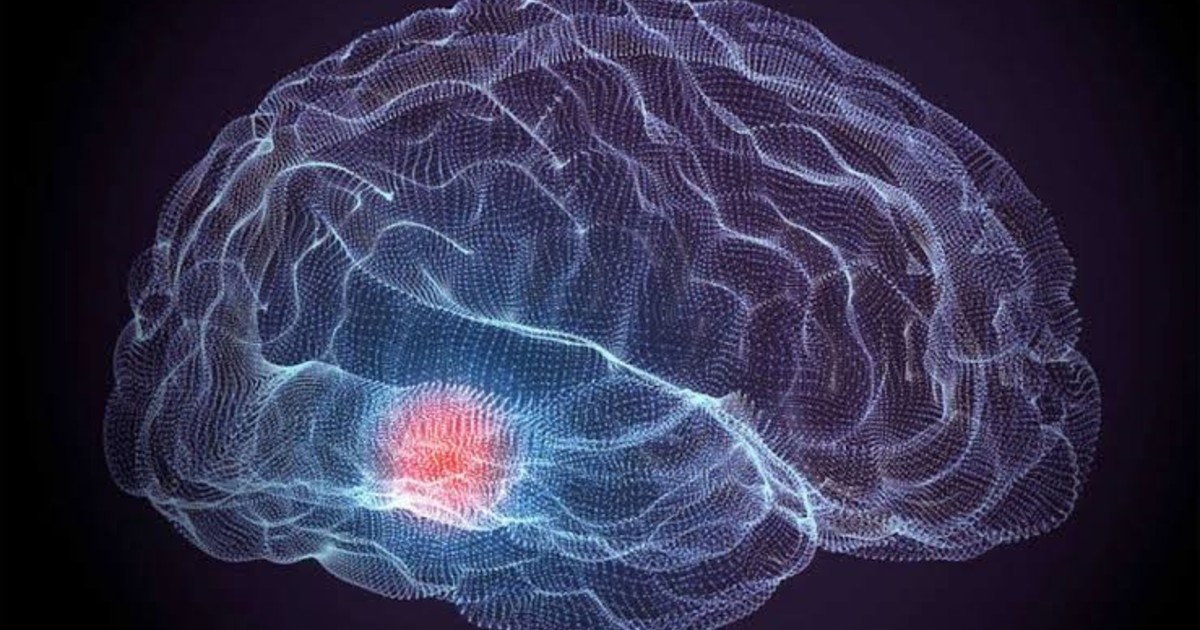 Vitamina C y cerebro: un estudio revela su vínculo con la materia gris en adultos mayores