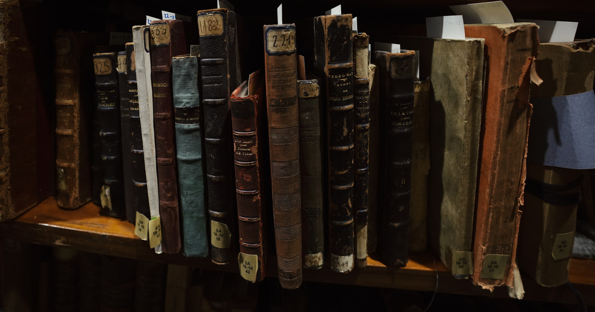 El oscuro destino de los libros: las IA los compran, digitalizan y destruyen