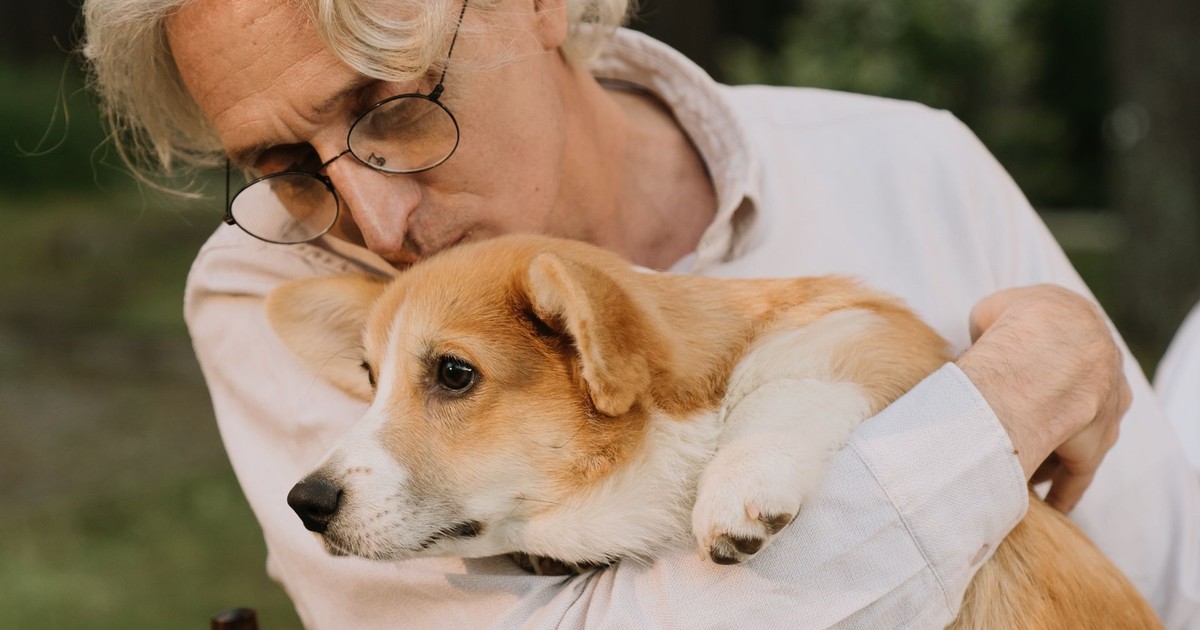 Ojo con el consuelo: por qué tu mascota puede no calmarte en momentos de estrés