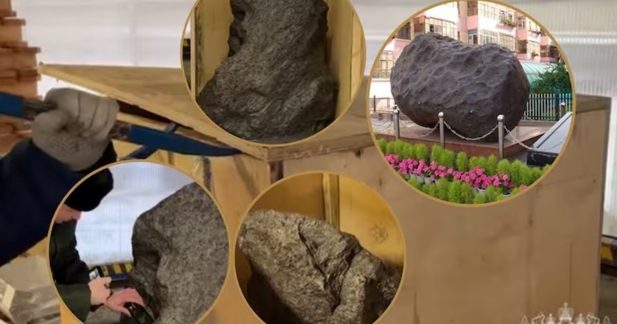 Pieza del origen del sistema solar incautada en Rusia: parecía una decoración de jardín