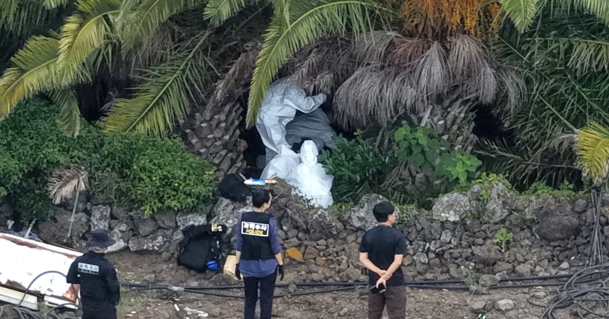 Escándalo en Corea del Sur: policía investigado por cerrar casos de desaparecidos tras hallazgo de cuerpos