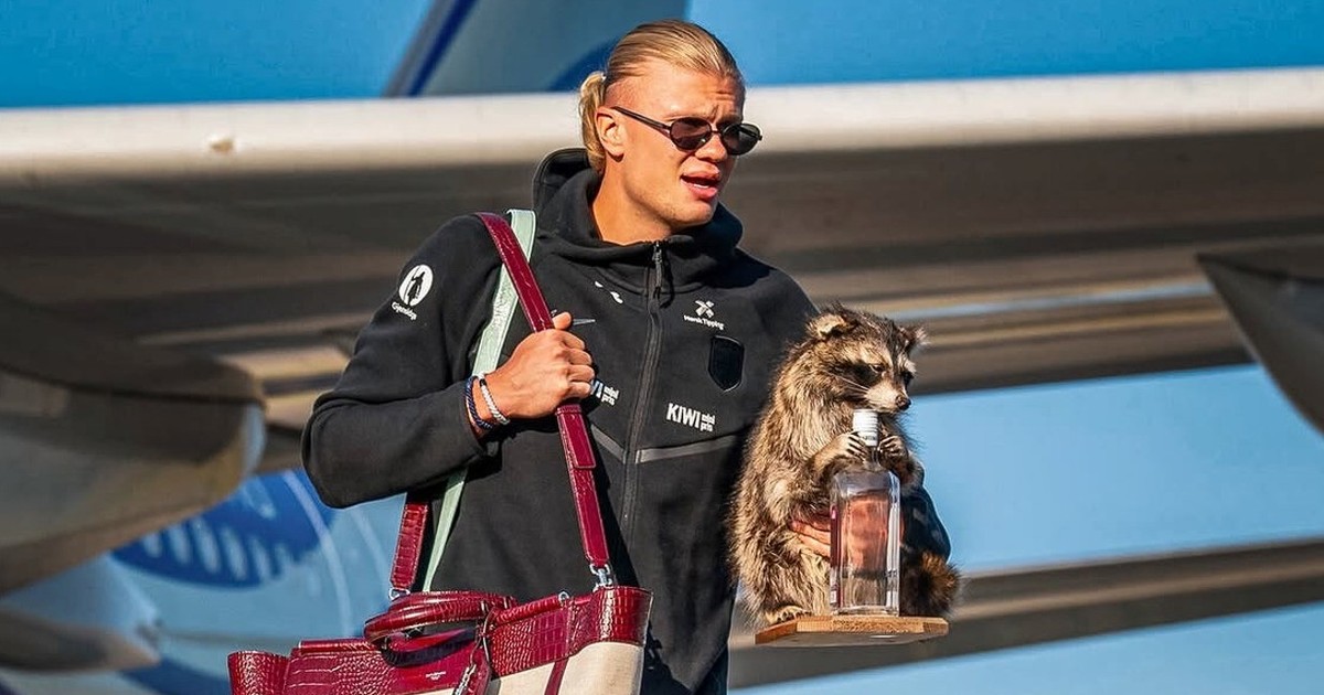 La insólita mascota de Haaland: un mapache disecado que lo acompañó desde EE.UU.