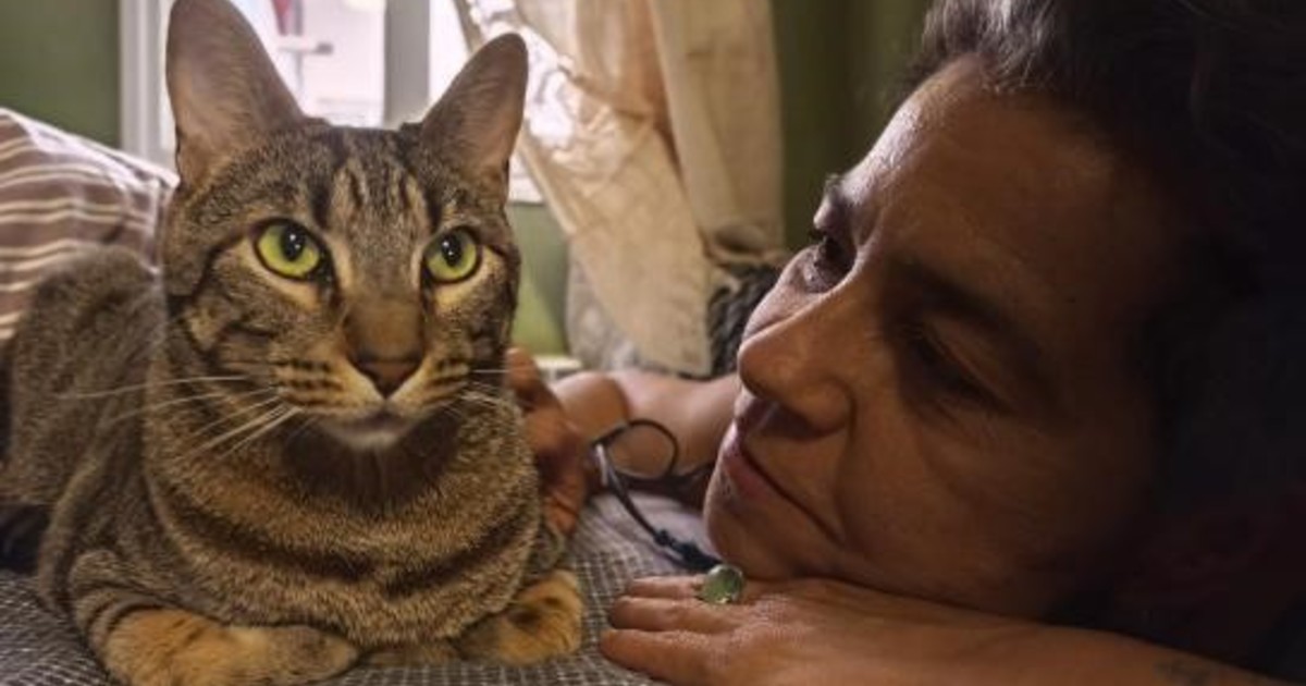 Mari Paz Bulnes: la gestora que convierte su lucha en refugio para gatos callejeros
