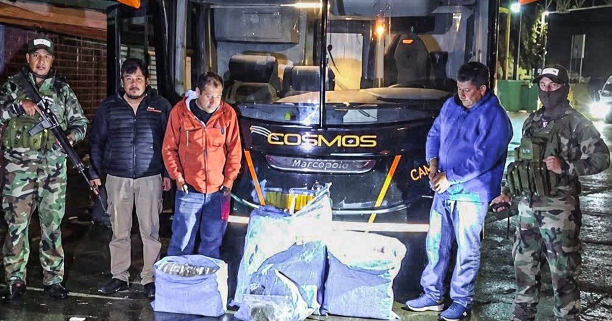 Droga en el micro de San Pablo: incautaron 86 kilos de marihuana antes de viajar a Bolivia