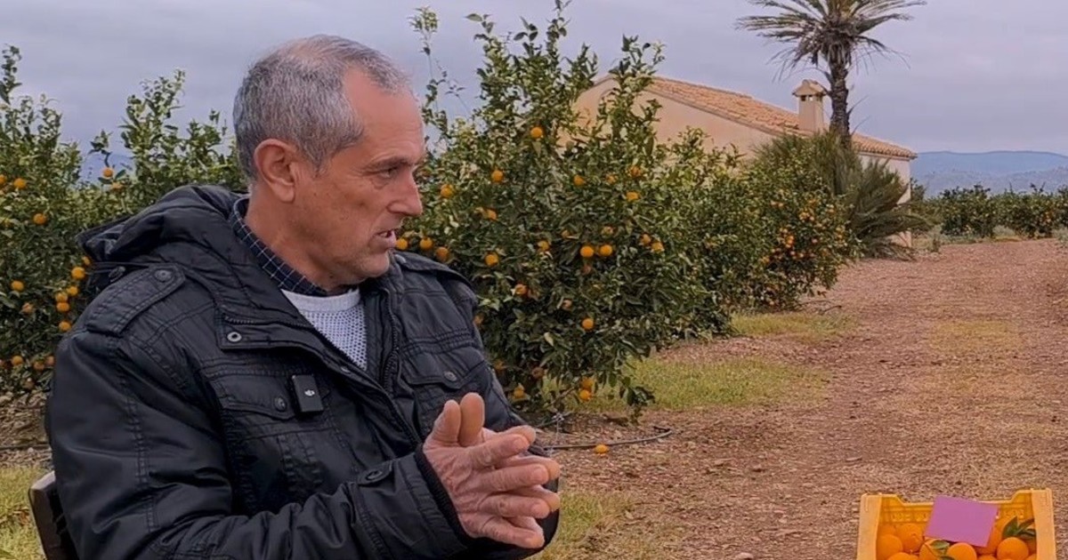 Agricultor valenciano denuncia: “En Egipto pagan 5 euros al día, aquí 16 euros la hora”