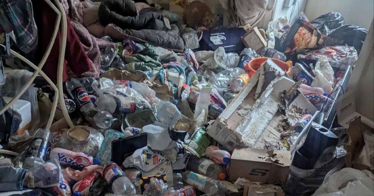 Ex médica condenada por mantener perros y gatos en condiciones de abandono extremo en Inglaterra
