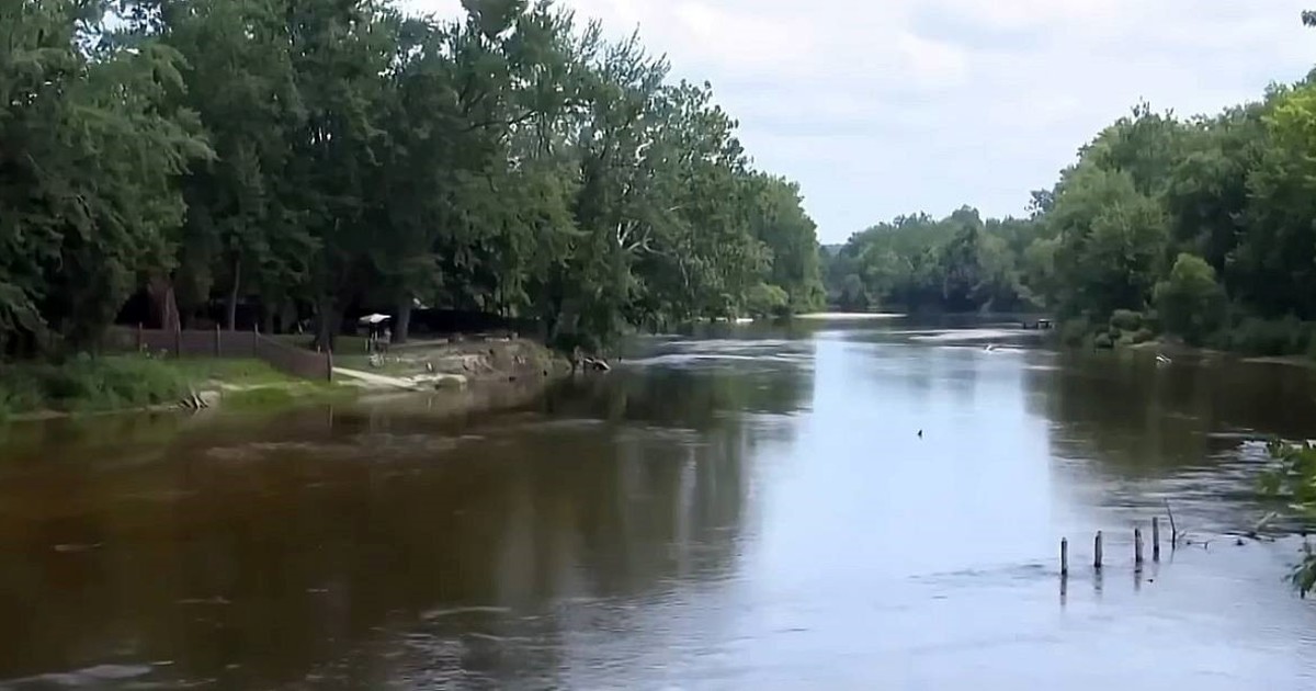 Sobrevivieron tres días perdidas en un río: comieron hormigas, flores y corteza de árboles