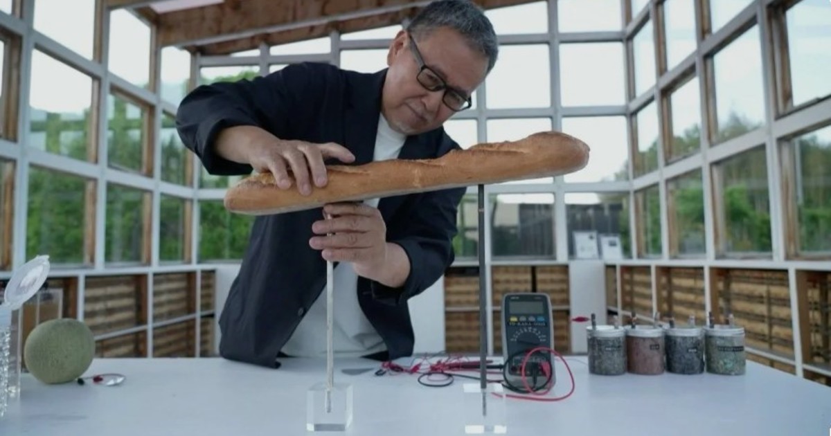 Energía con sabor a vino y pan: el invento japonés que combate la crisis global