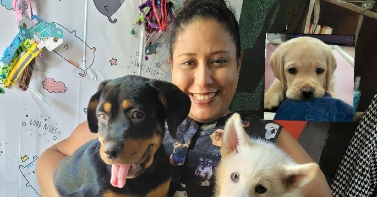 El último adiós a una veterinaria: su perra no se separó del féretro
