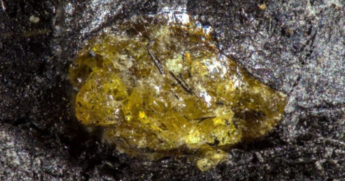 Hallan en China el ámbar más antiguo del mundo