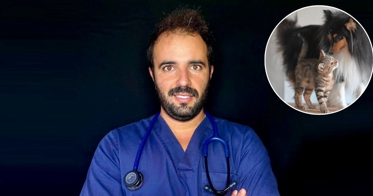 Cuidado con el paracetamol: una pastilla puede ser letal para tu mascota