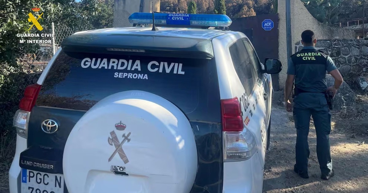 Hallazgo macabro en Ávila: una granja con montañas de cadáveres