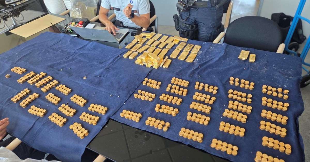 Oro bajo los pisos: hallazgo millonario en una casa belga reabre el debate legal