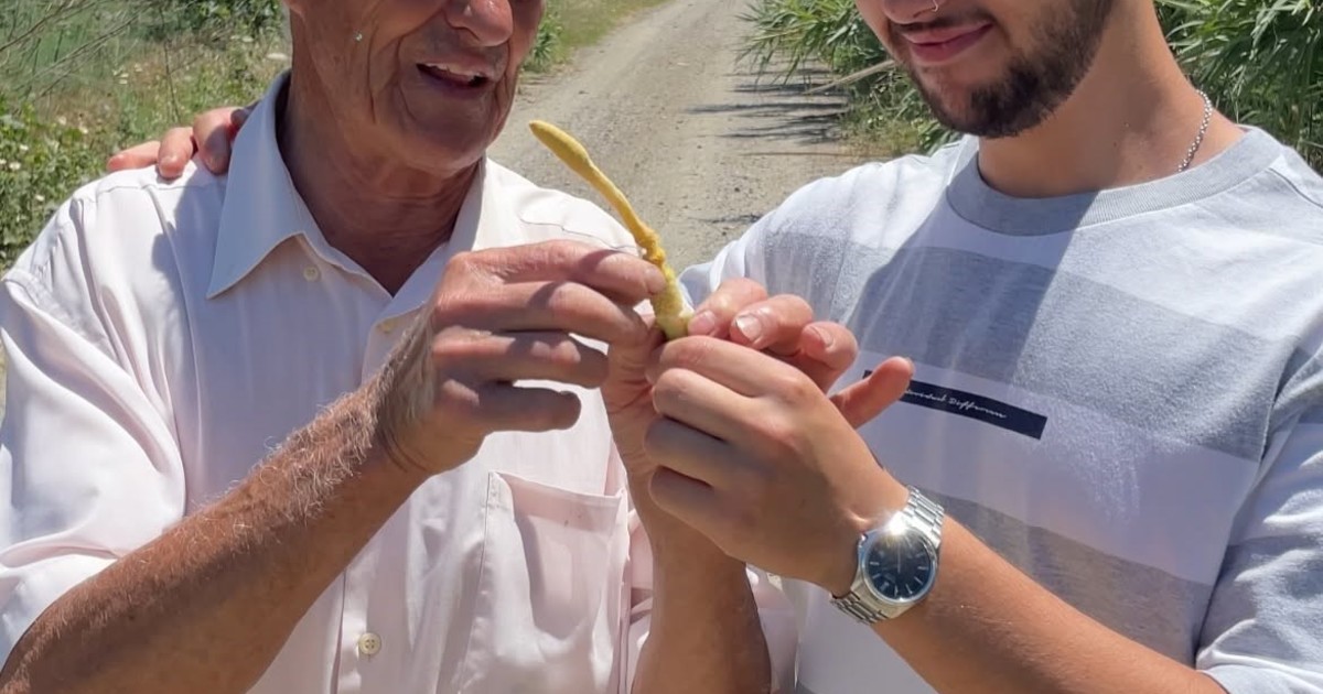 Manuel Bonilla, el agricultor de 82 años que se volvió viral: “La juventud no quiere trabajar el campo, pero no podemos perder la tradición”