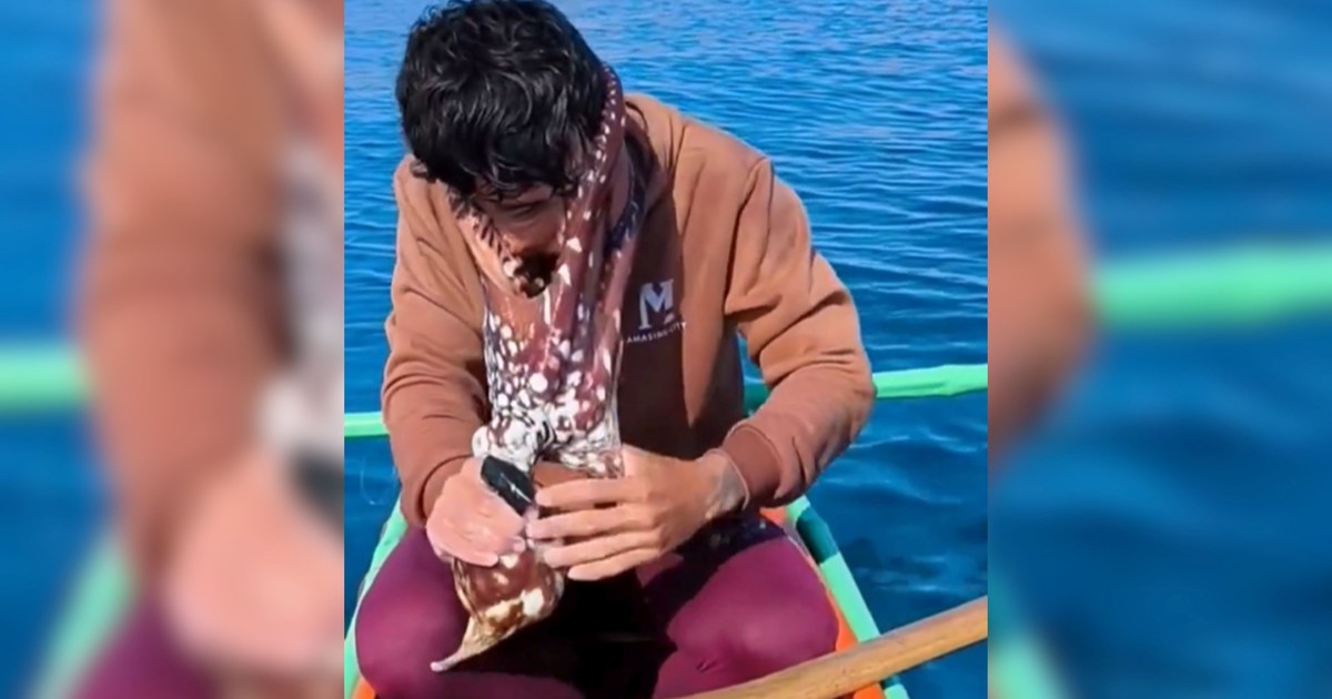 Influencer pescador vivió momentos de terror al ser atacado por un pulpo en la cara