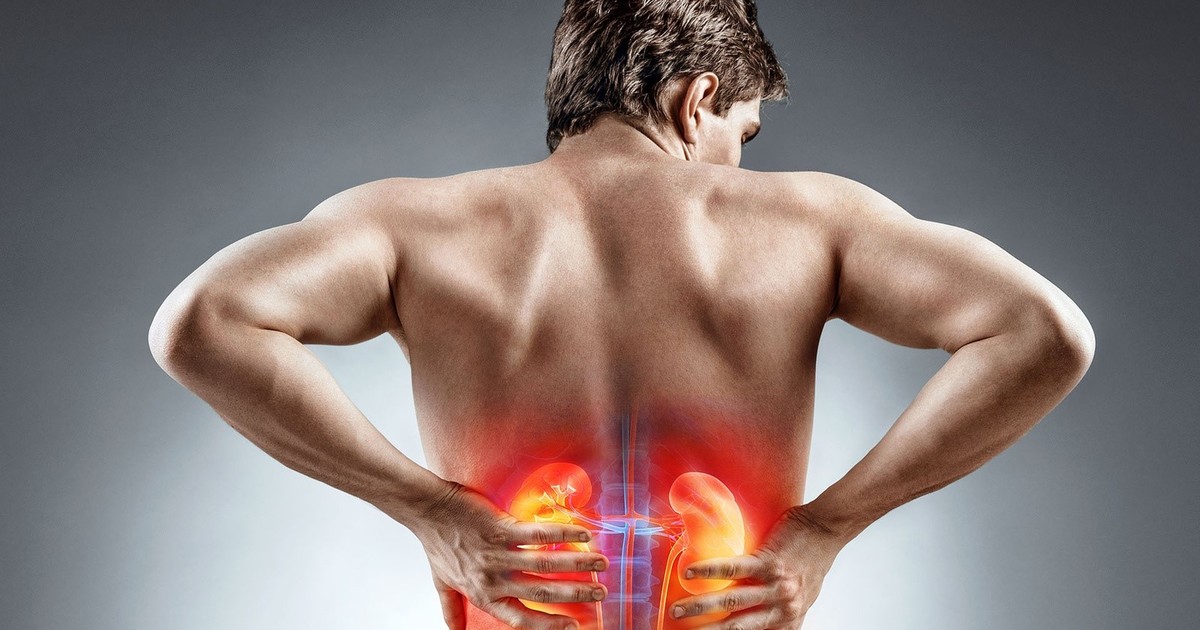 Mayo Clinic descubre mecanismo clave para regular el agua en el cuerpo y combatir enfermedad renal