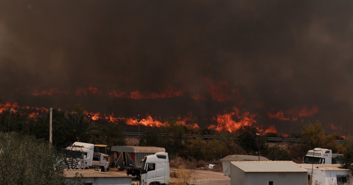 Tragedia en Almería: incendio deja 12 muertos, 23 desaparecidos y arrasa miles de hectáreas