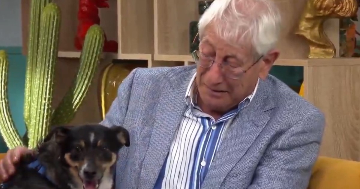 Conmovedora historia en Dog House: un anciano de 80 años entrega a su perro por no poder cuidarlo