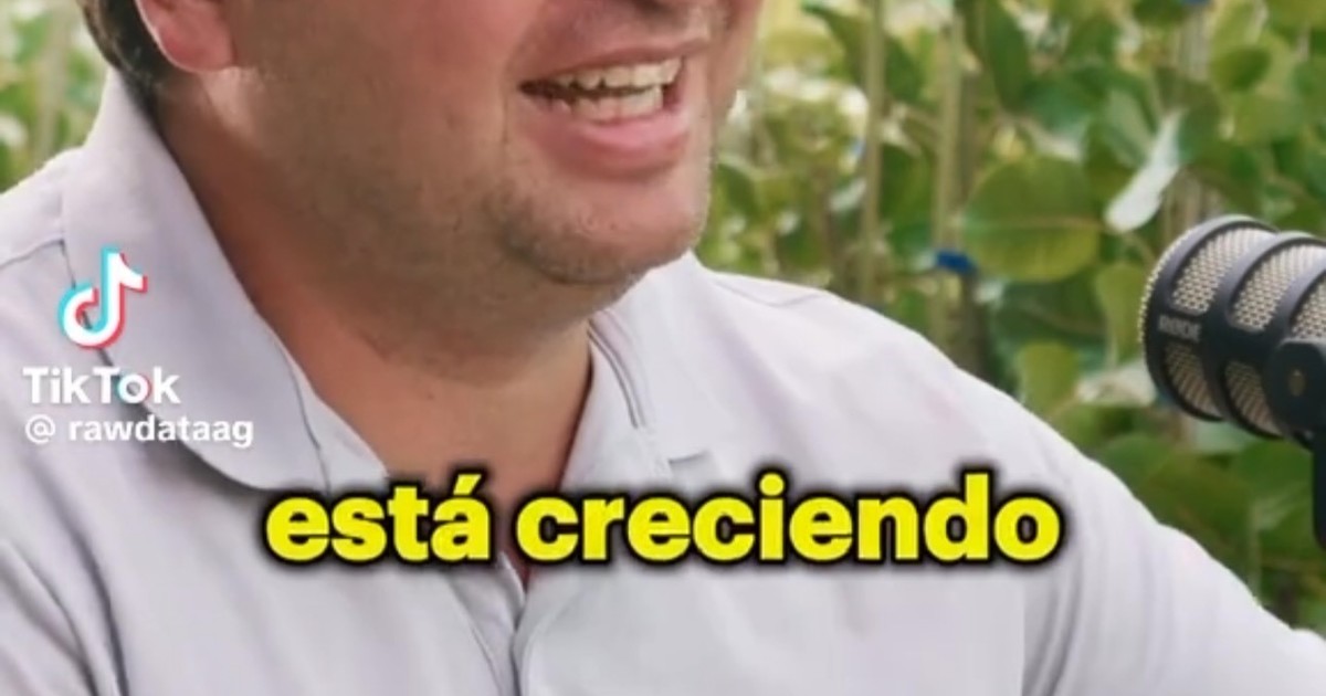 Pistachos: el negocio que promete millones pero exige paciencia