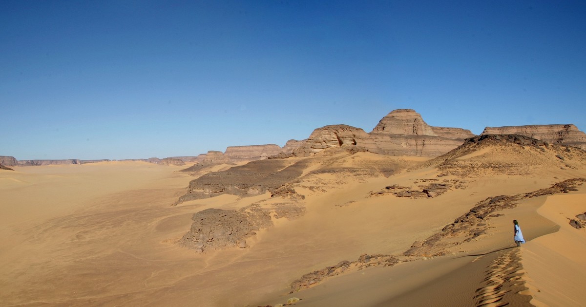 El desierto egipcio esconde un cementerio de tiburones de hace millones de años