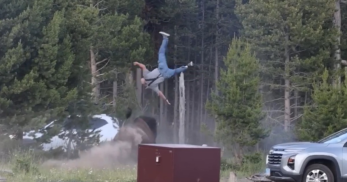 Bisonte arroja por los aires a un hombre en Yellowstone