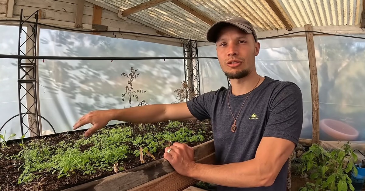 Dejó su departamento en Barcelona para vivir en el campo y producir su propio aceite de oliva