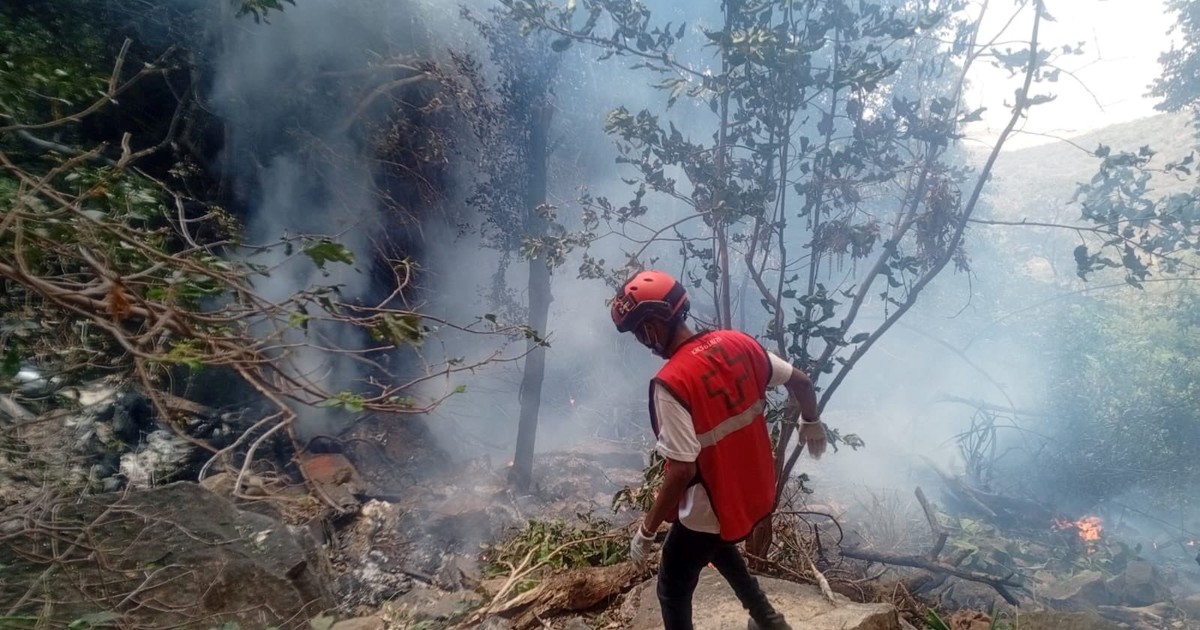Tragedia en Kenia: murió el jefe de Inteligencia de Ecuador en un accidente de helicóptero