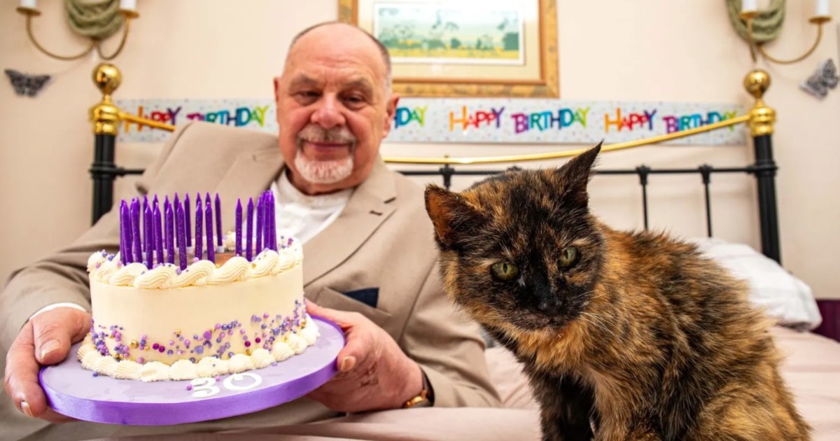 Una gata de 31 años busca romper el récord Guinness como la más longeva del mundo