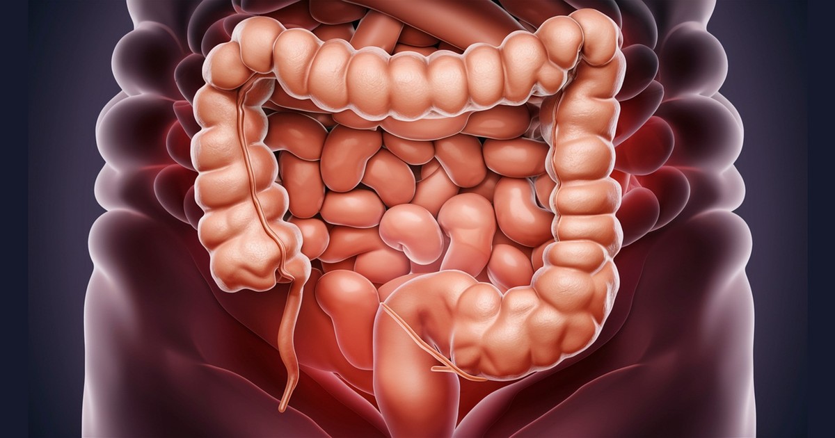 Tres pilares para una limpieza intestinal natural