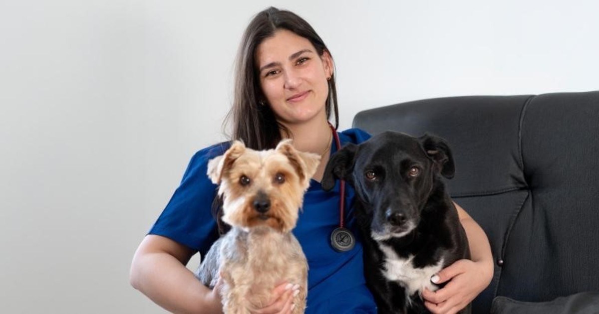El costo de adoptar: cuando la salud del perro no es prioridad