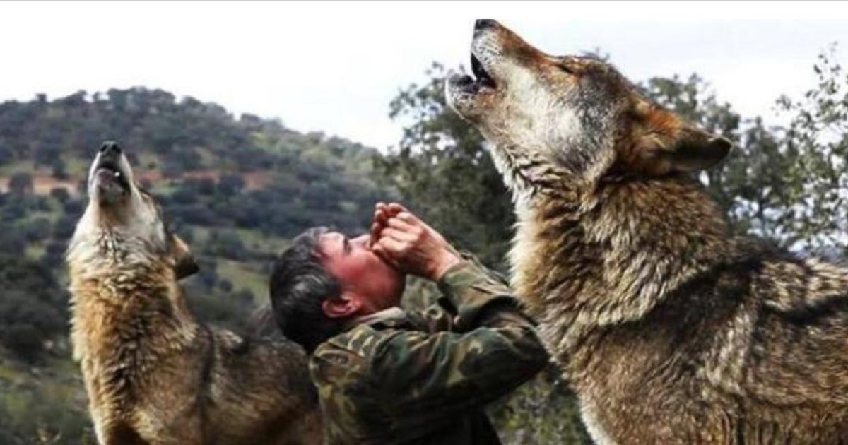 Murió Marcos Rodríguez, el hombre que de niño fue criado por lobos