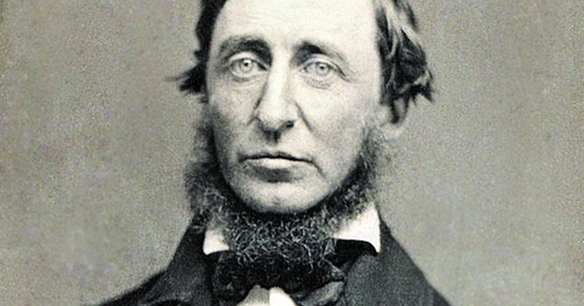 Thoreau y la mariposa de la felicidad: un consejo atemporal