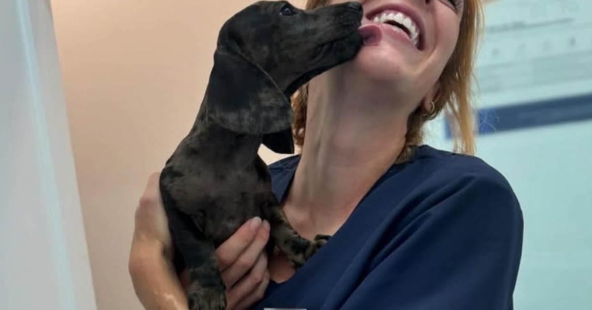 Claudia Reyes, veterinaria: “Tener una camada no aporta ningún beneficio para la salud”