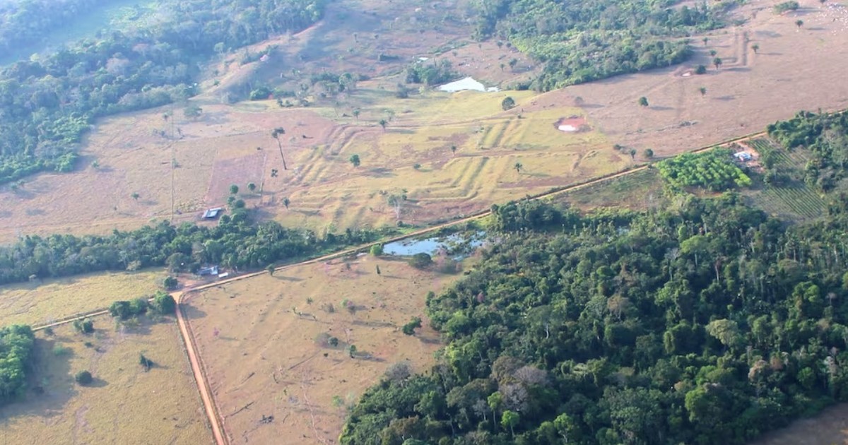 Escáneres láser revelan una civilización perdida de millones de habitantes en la Amazonía