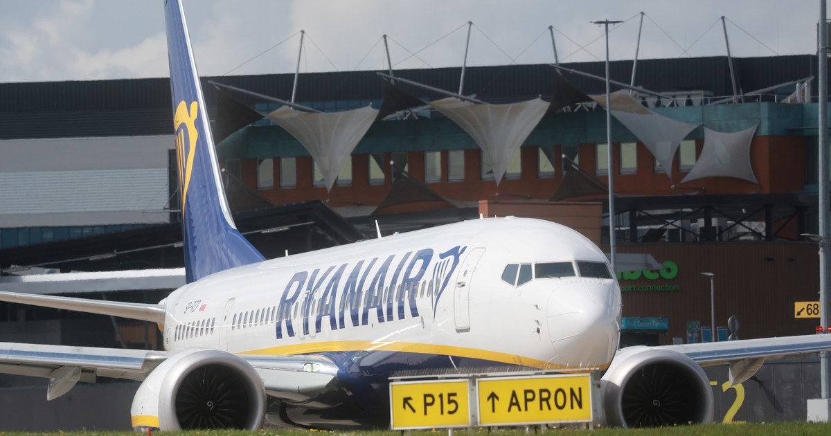 Un buitre caprichoso retrasó un vuelo de Ryanair en Grecia